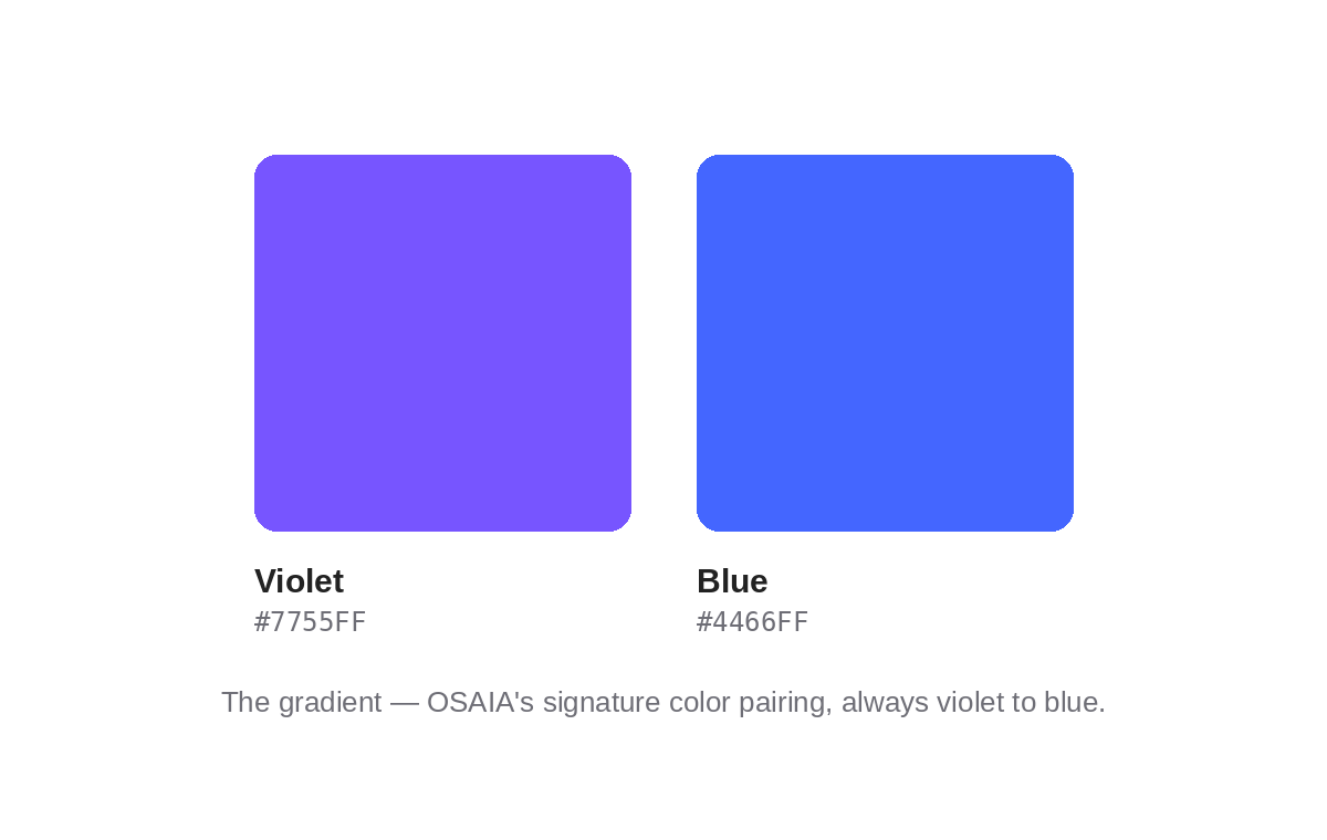 Primary Color Palette